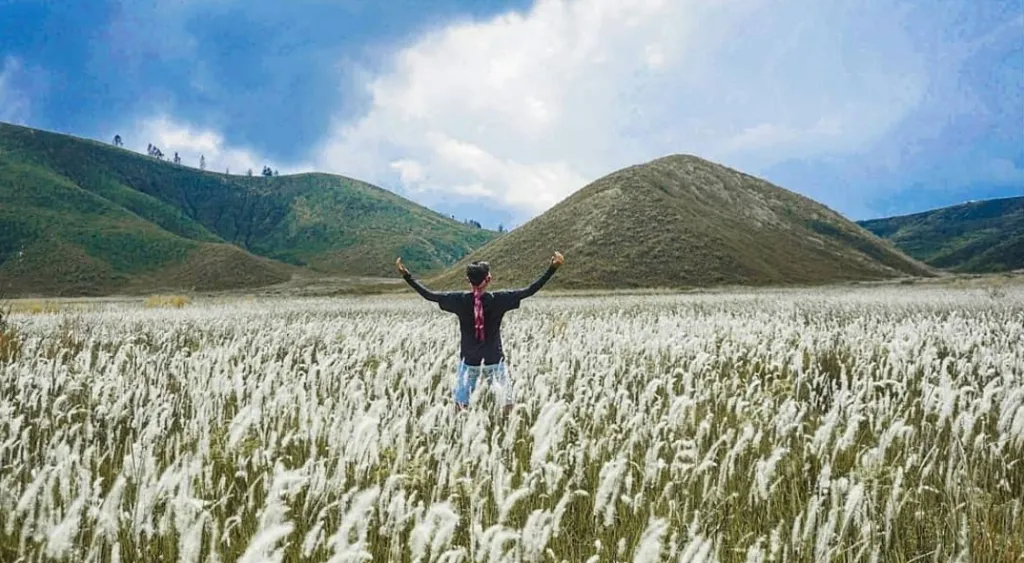 Kawah Ilalang, Destinasi Alam Eksotis di Lereng Ijen Bondowoso