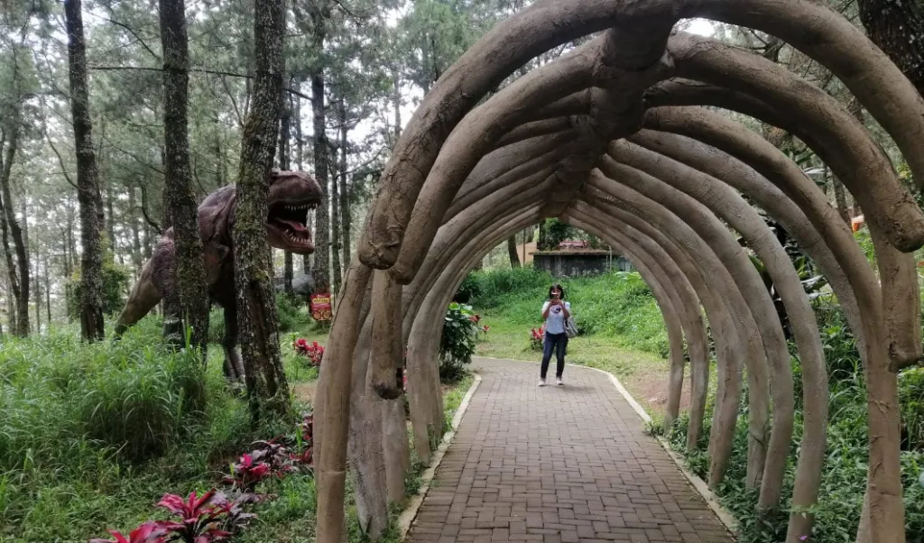 Mojosemi Forest Park, Wisata Alam Keluarga di Lereng Lawu Magetan