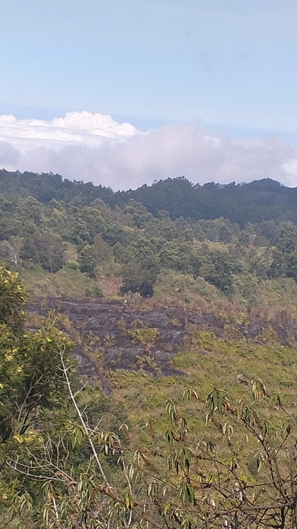 Api Mengamuk di Blok Sentong TNBTS, Petugas Gabungan Berjibaku Selama Tiga Jam