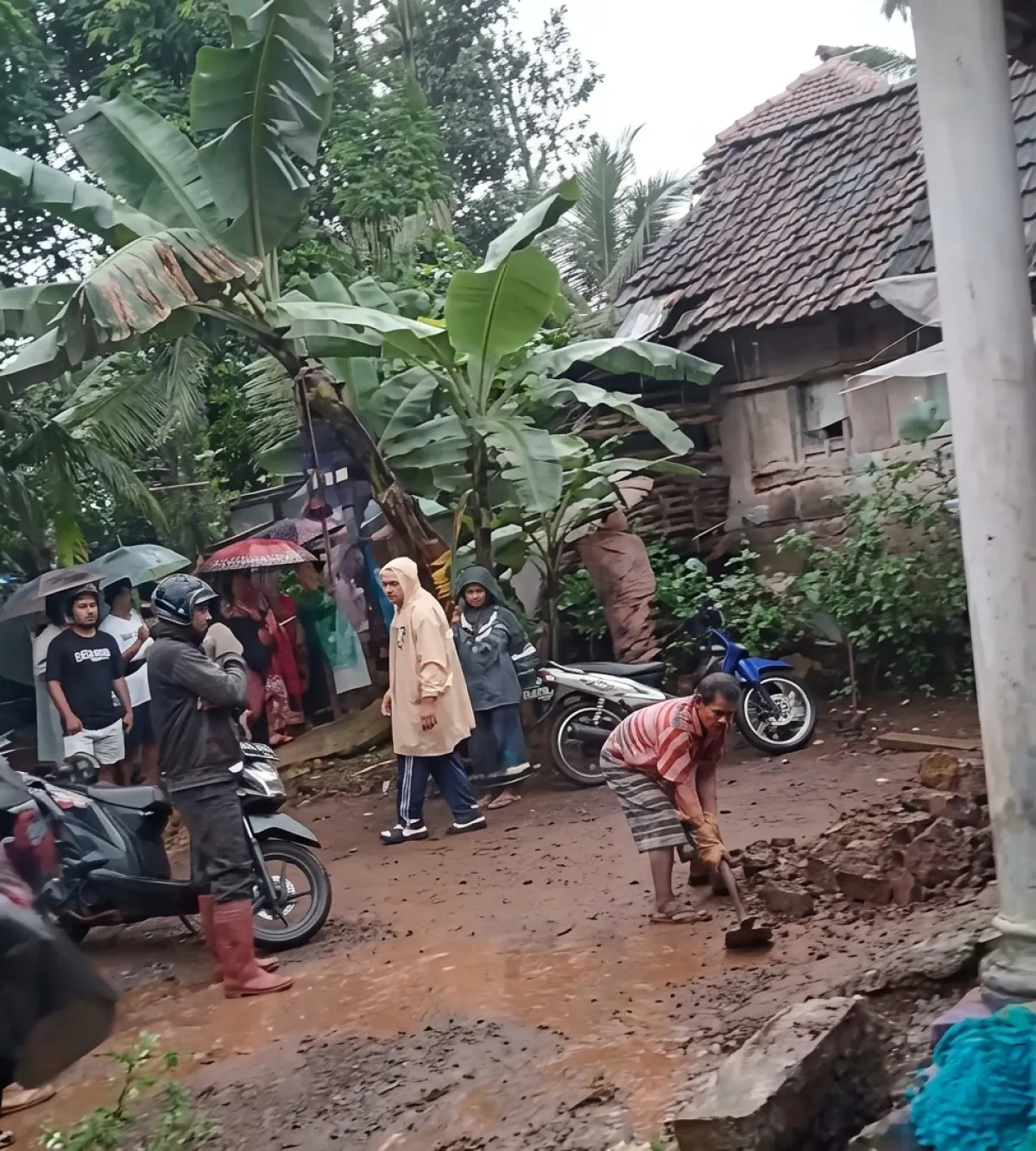 Hujan Deras Berujung Petaka! Longsor Timbun Rumah di Pronojiwo, Dua Warga Tewas