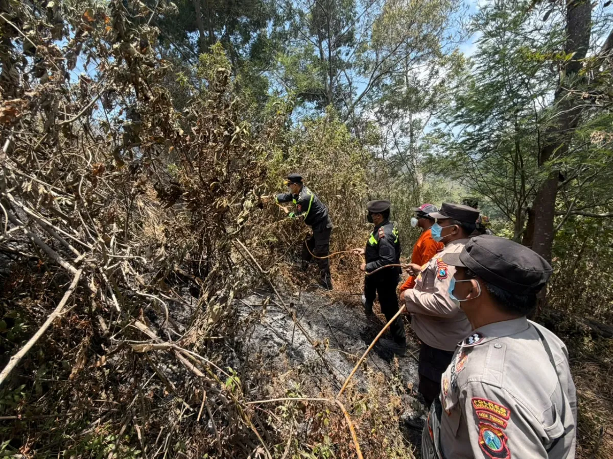 Polres Lumajang Kerahkan Personel Gabungan dan Peralatan Pemadam, Karhutla 3 Hektar di TNBTS Ditangani