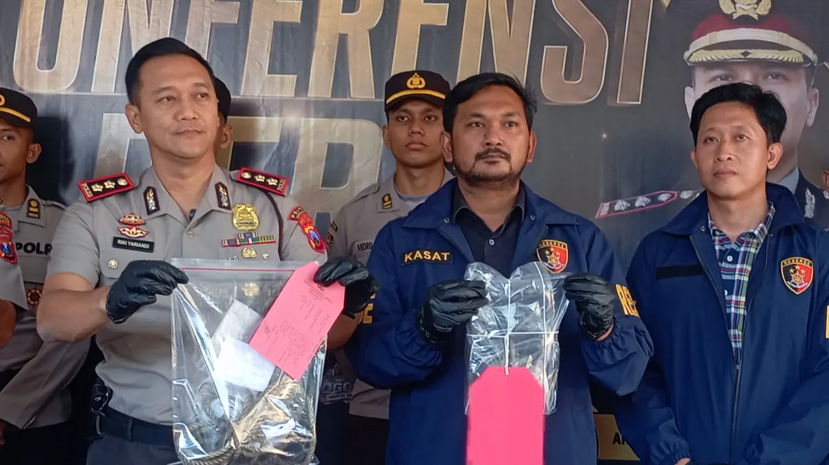 Curanmor hingga Pencurian Sapi Dibongkar, 7 Tersangka Diamankan Polres Lumajang