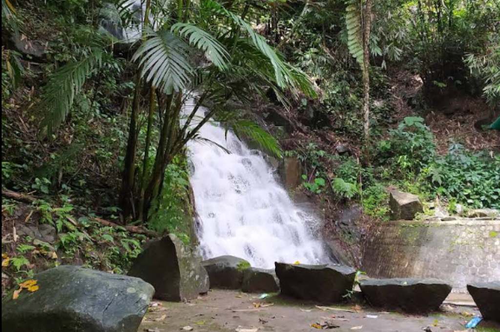 Wisata Air terjun irenggolo yang sering dikunjungi banyak wisatawan untuk menikmati keindahan alam dan udara segar,dan juga sering dijadikan tempat rekreasi keluarga, berfoto (Gmap/Ade Liana Prasetya)