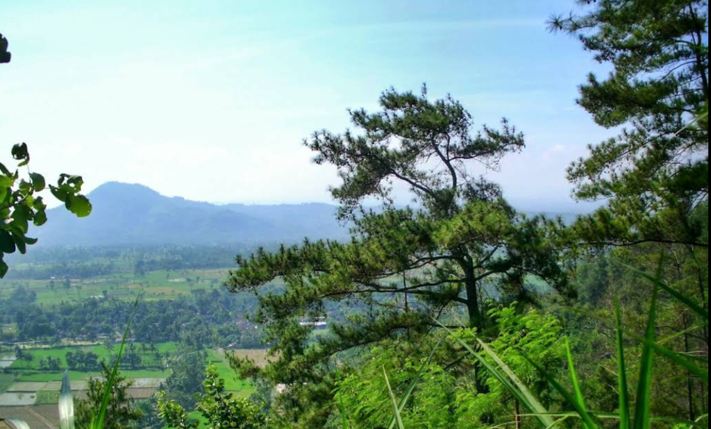 Wisata Bukit Seranding yang sering dikunjungi banyak orang untuk menikmati panorama alam, berburu foto lanskap, bersantai bersama keluarga atau teman, serta melepas penat (Gmap/Ryzan Agustian)