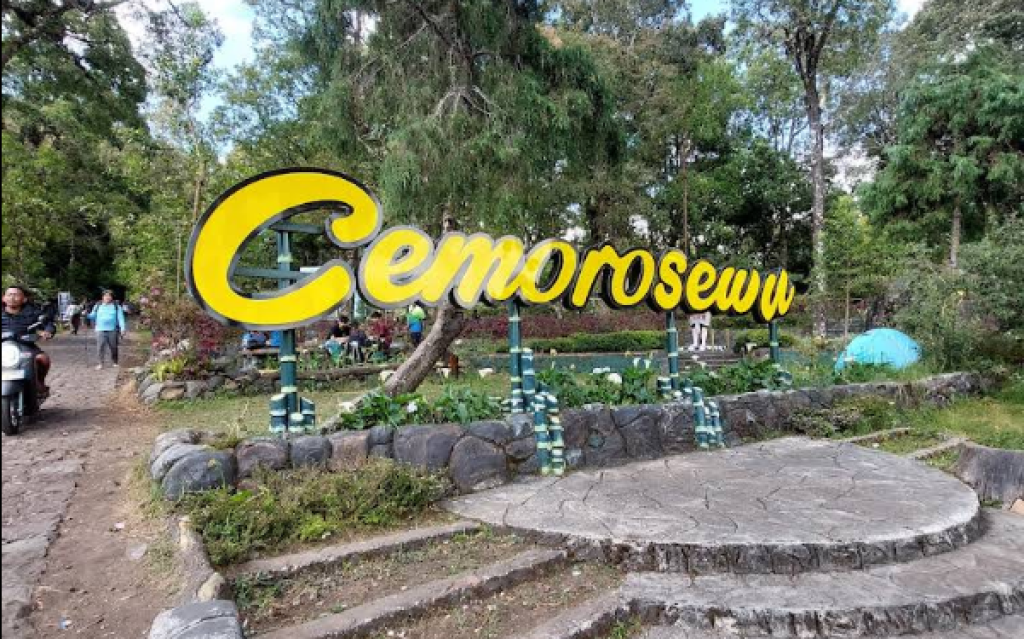 Wisata Cemoro Sewu yang sering dikunjungi banyak wisatawan untuk menikmati wisata alam, beristirahat dari perjalanan jauh, berburu foto berlatar hutan pinus dan kabut pegunungan(Gmap/lukman priambodo)