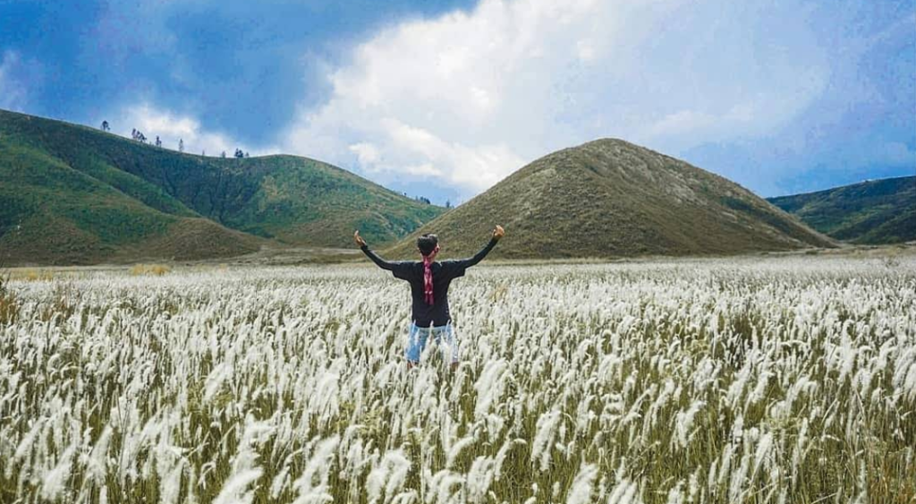 Wisata Kawah ilalang yang sering dikunjungi banyak orang untuk menikmati keindahan alam dan suasana tenang, berburu foto dengan latar padang ilalang dan kawah(Gmap/Bondowoso Explore)