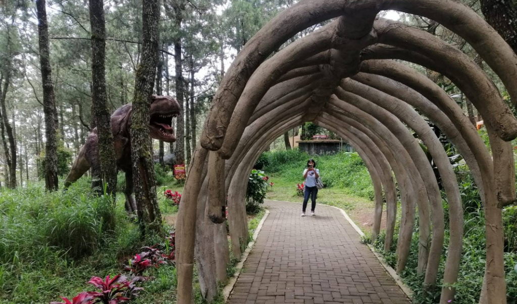 Wisata MOJOSEMI FOREST PARK yang sering dikunjungi banyak wisatawan untuk berwisata keluarga, rekreasi anak, kegiatan edukasi alam, outbound, hingga sekadar bersantai (Gmap/Sarah San)