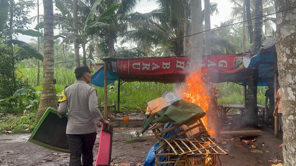Laporan Warga Berbuah Tindakan, Polisi Musnahkan Arena Sabung Ayam di Ranuyoso