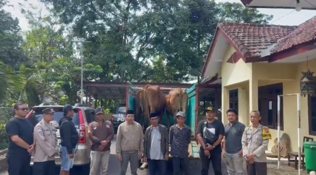 Penemuan Barang Bukti Sapi Diduga Hasil Curwan di Lumajang