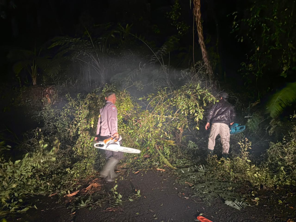 Anggota Polsek saat mengevakuasi pohon tumbang