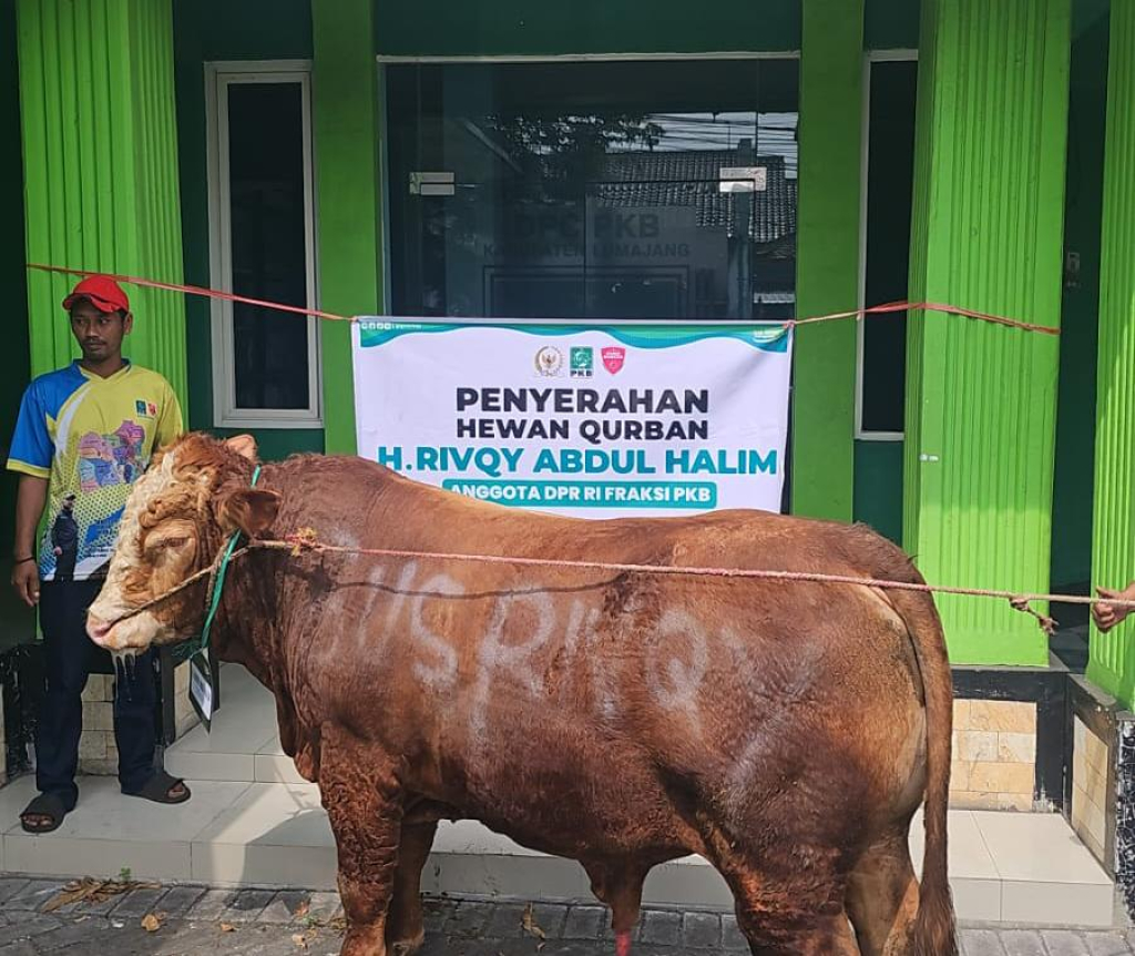 Gus Rifky DPR RI Fraksi PKB berbagi sapi Qurban di Lumajang dan Jember
