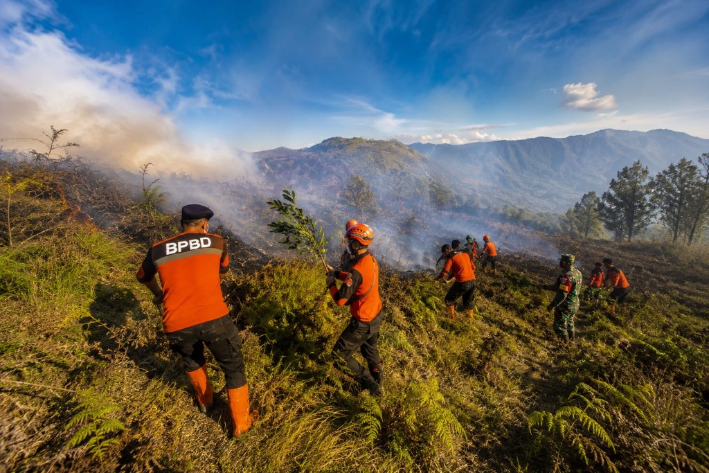 BPBD Lumajang memadamkan api di wilayah B29