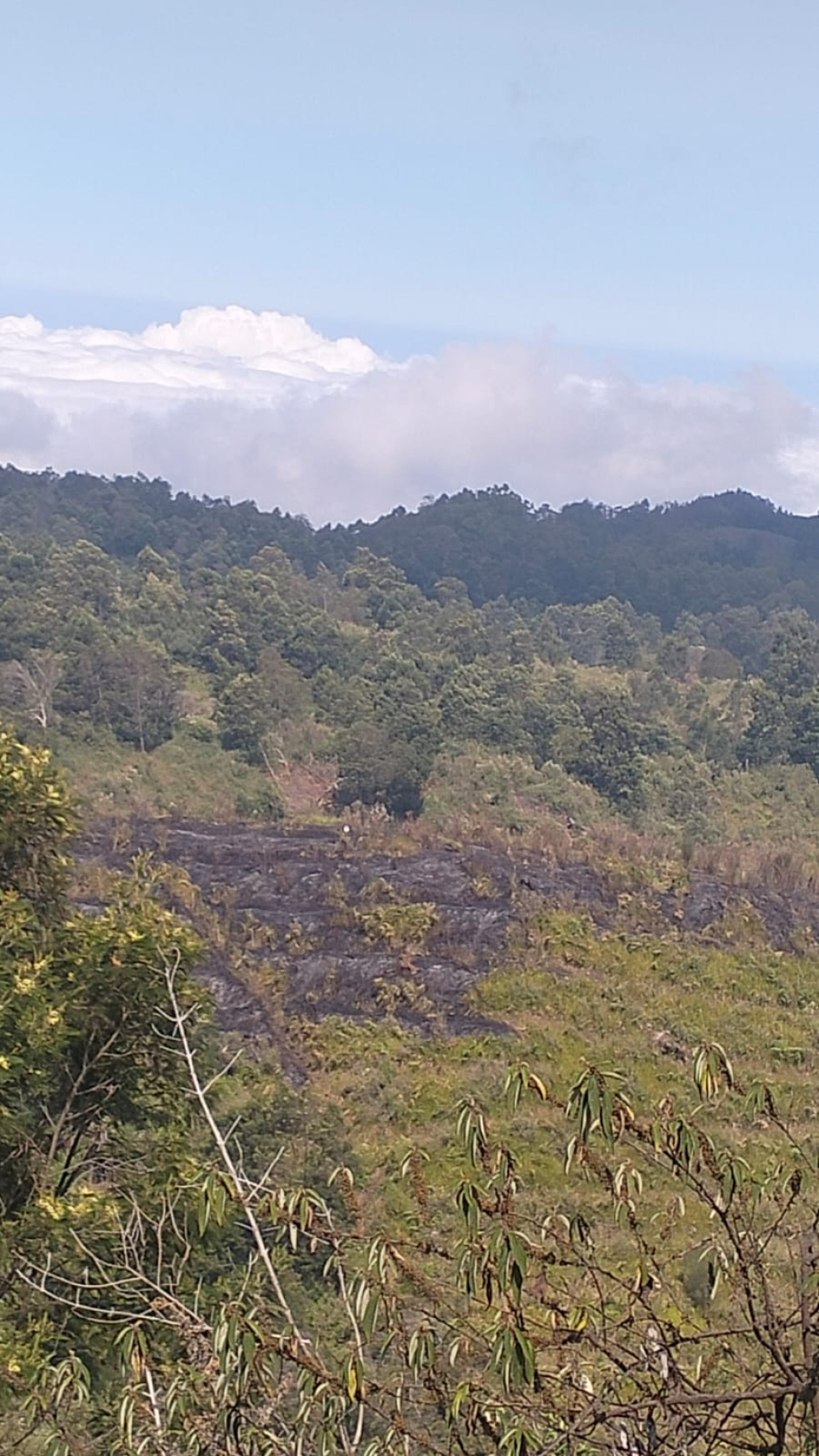 Kondisi pasca kebakaran di wilayah Blok Sentong