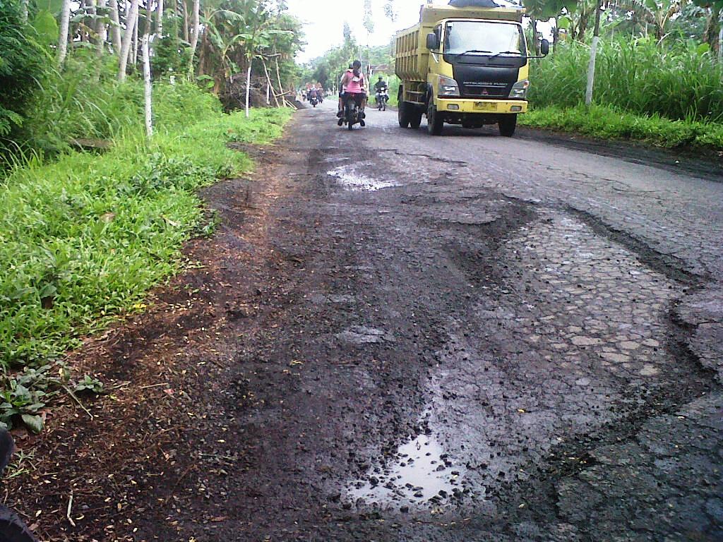 Baru Setahun Dibangun, Aspal Hotmik Desa Selok Awar-awar Sudah Hancur