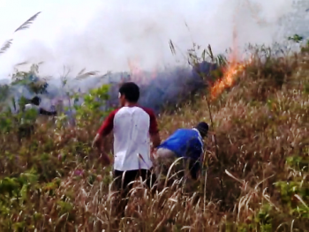 Berhasil Dipadamkan, 500 Hektar Hutan Lereng Gunung Lemongan Ludes Jadi Arang