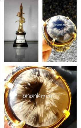 Akik Bulu Macan Motif Mata Dewa Menang Pameran Open Piala Gubernur Jatim