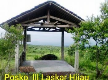 Bertahun Lakukan Penghijauan di Lereng Gunung Lemongan, Akhirnya Berbuah Juga