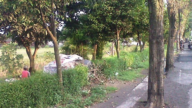 Lumajang Dibanjiri Orang Gila