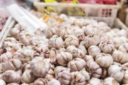 Harga Bawang Putih di Lumajang Bikin Nangis