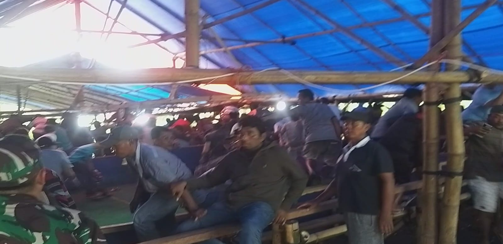 Polres Lumajang Grebeg Sabung Ayam di Desa Kebonagung, Pelaku Kabur