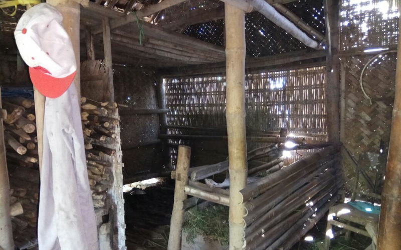 Jelang Qurban, di Ranuyoso Lagi Musim Maling Sapi