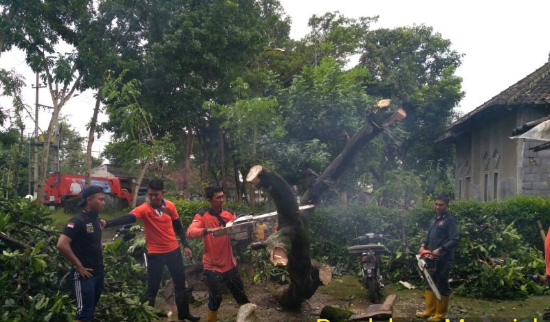 Angin Puting Beliung Rusak 12 Rumah Warga Tekung