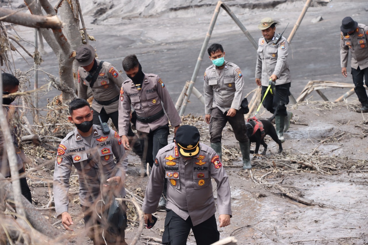 11 Anjing Pelacak Percepat Pencarian Korban APG Semeru di Lumajang