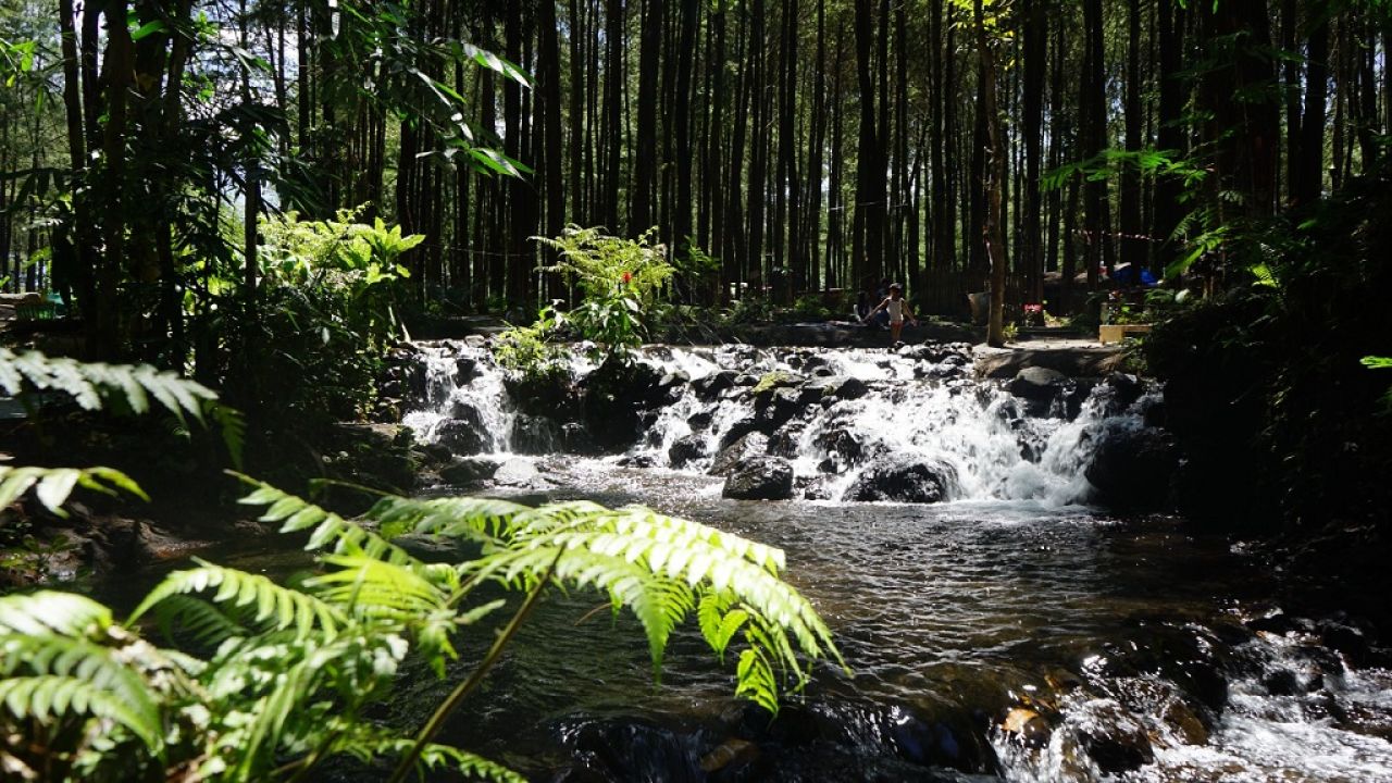 Kali Pinusan Poncosumo Desa Sumberwuluh