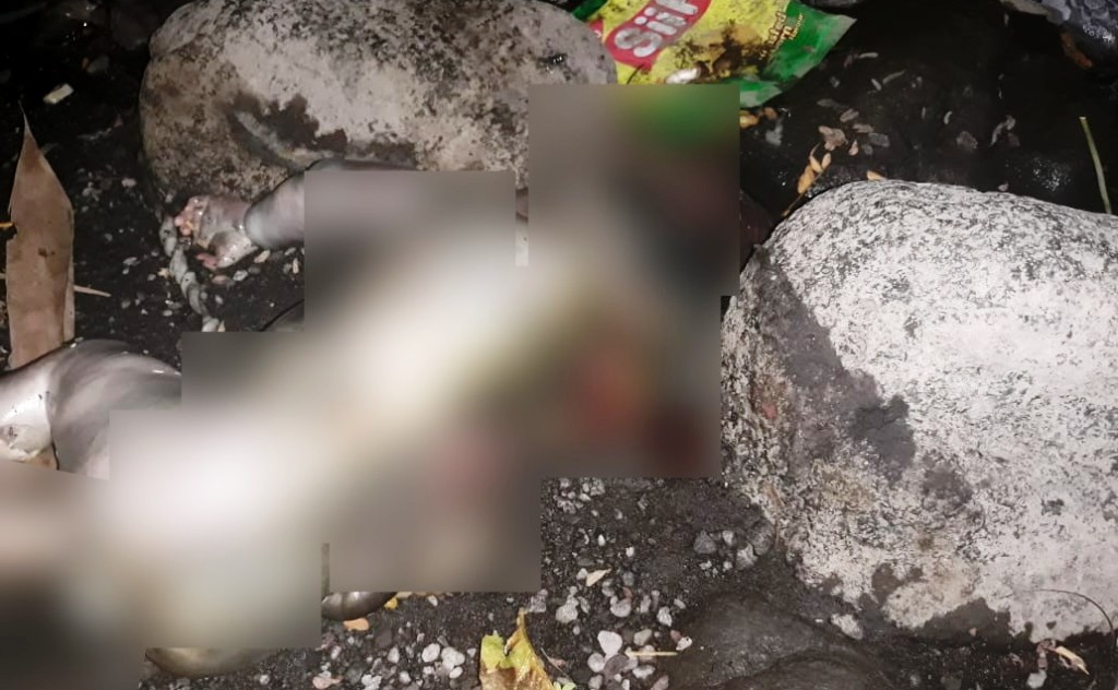 Mayat Bayi Laki-laki di Sungai Bades Masih Menempel Tali Pusar