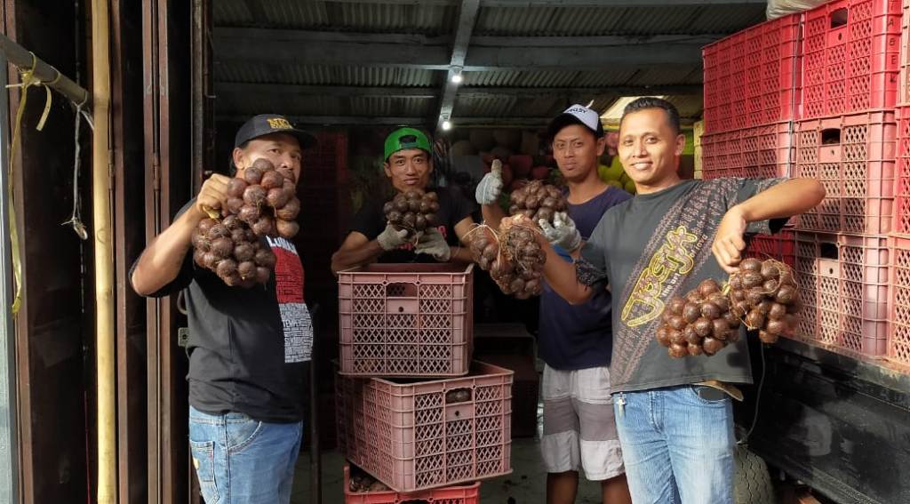 Panen Melimpah, Harga Salak Pondoh Pronojowo Lumajang Anjlok